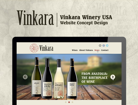Vinkara USA Website Design Alternative